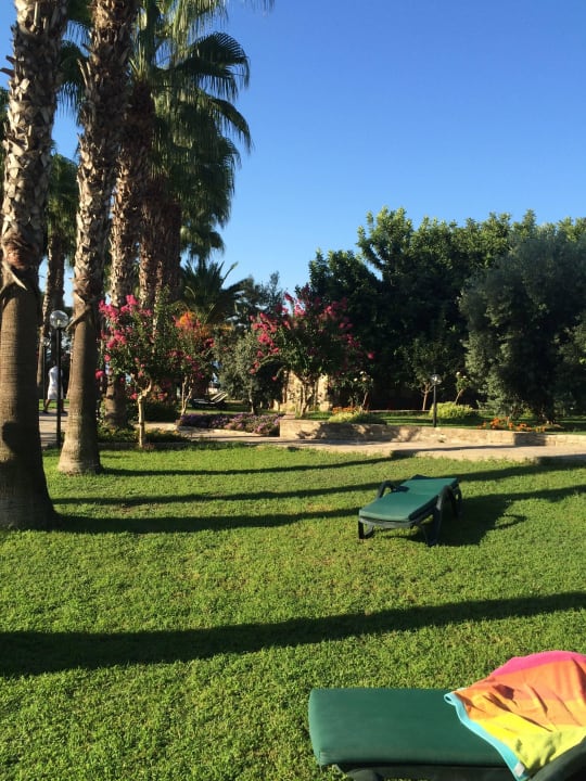 Garten Arum Barut Collection