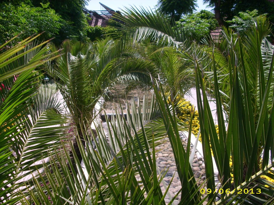 Viel Grün Can Garden Beach