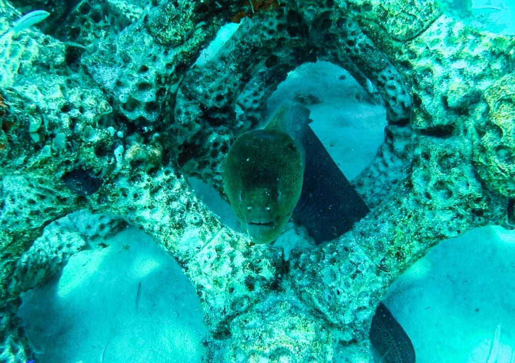 Sport & Freizeit Summer Island Maldives