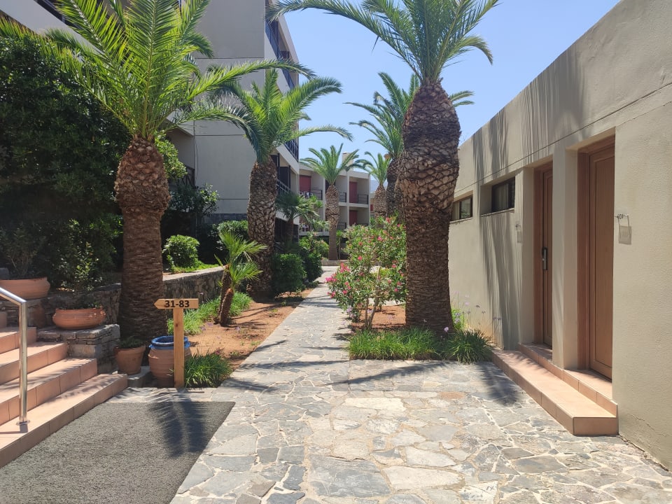 Gartenanlage allsun Hotel Malia Beach