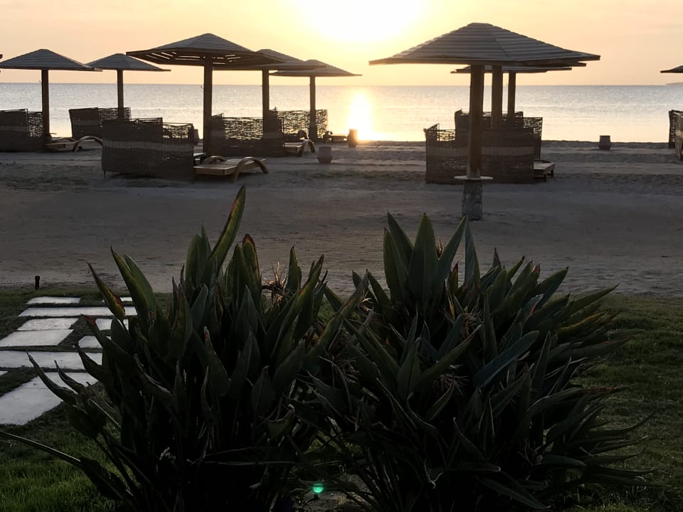 Strand Shams Prestige Abu Soma-Adults Only