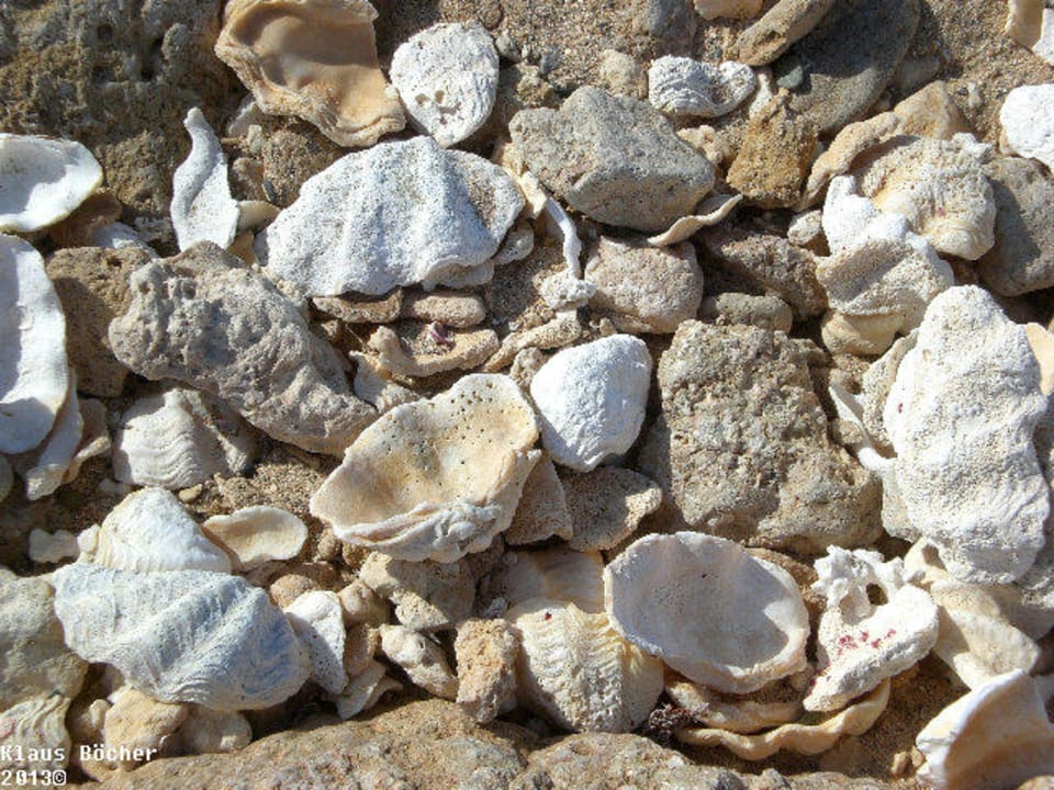 Strand und Riff Three Corners Happy Life Beach Resort