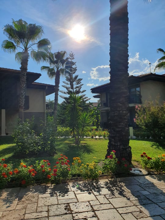 Gartenanlage TUI BLUE Palm Garden