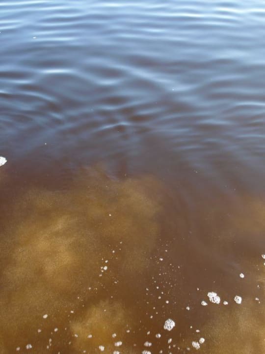 Meer Miramar Al Aqah Beach Resort