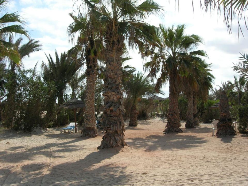 bocciasoielecke Club Marmara Palm Beach Djerba