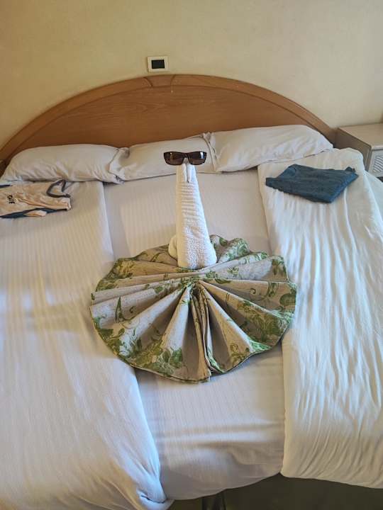 Zimmer Ghazala Gardens