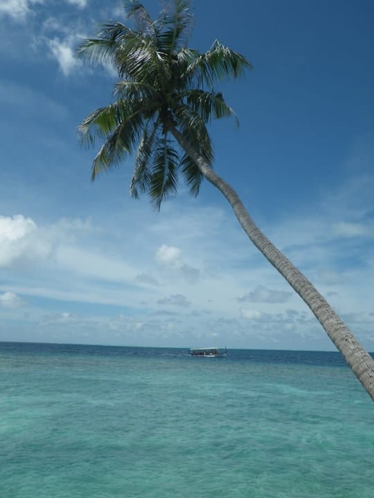 Palme Embudu Village