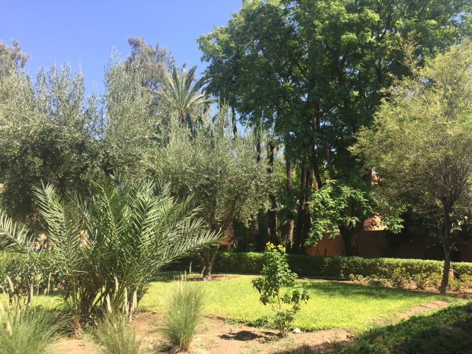 Gartenanlage Hotel Riu Tikida Garden - Adults Only