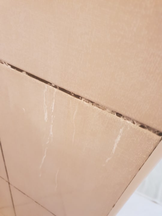 Zimmer Hotel Diani Sea Lodge