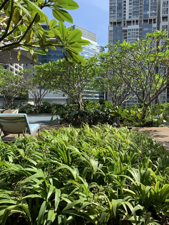 Garten Sofitel Singapore City Centre