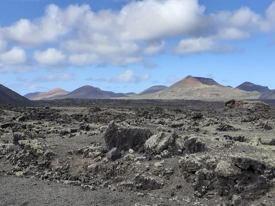 Ausblick allsun App.-Hotel Albatros