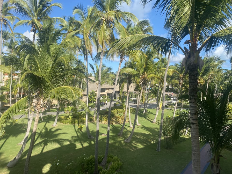 Gartenanlage TRS Turquesa Hotel - Adults only