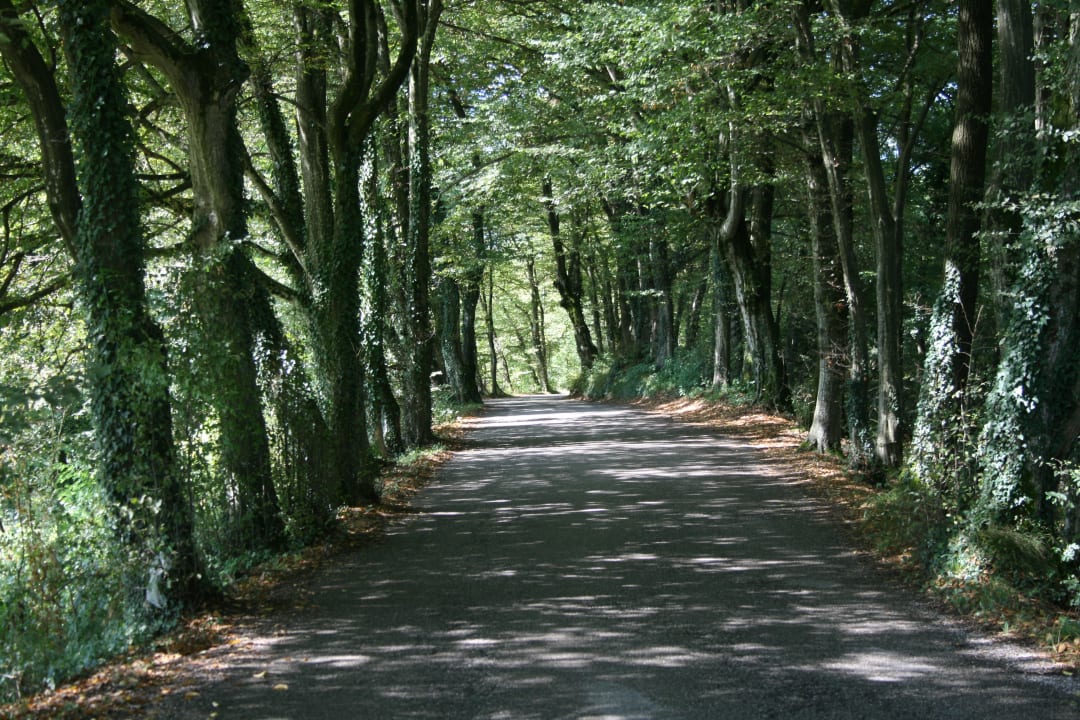 Gartenanlage Villa San Liberale