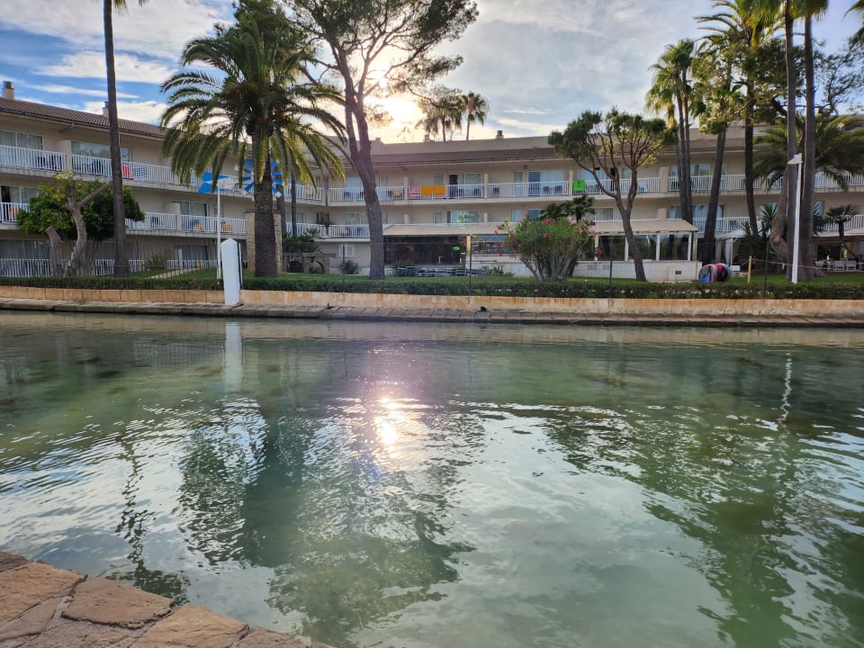 Gartenanlage allsun App.-Hotel Orquidea Playa