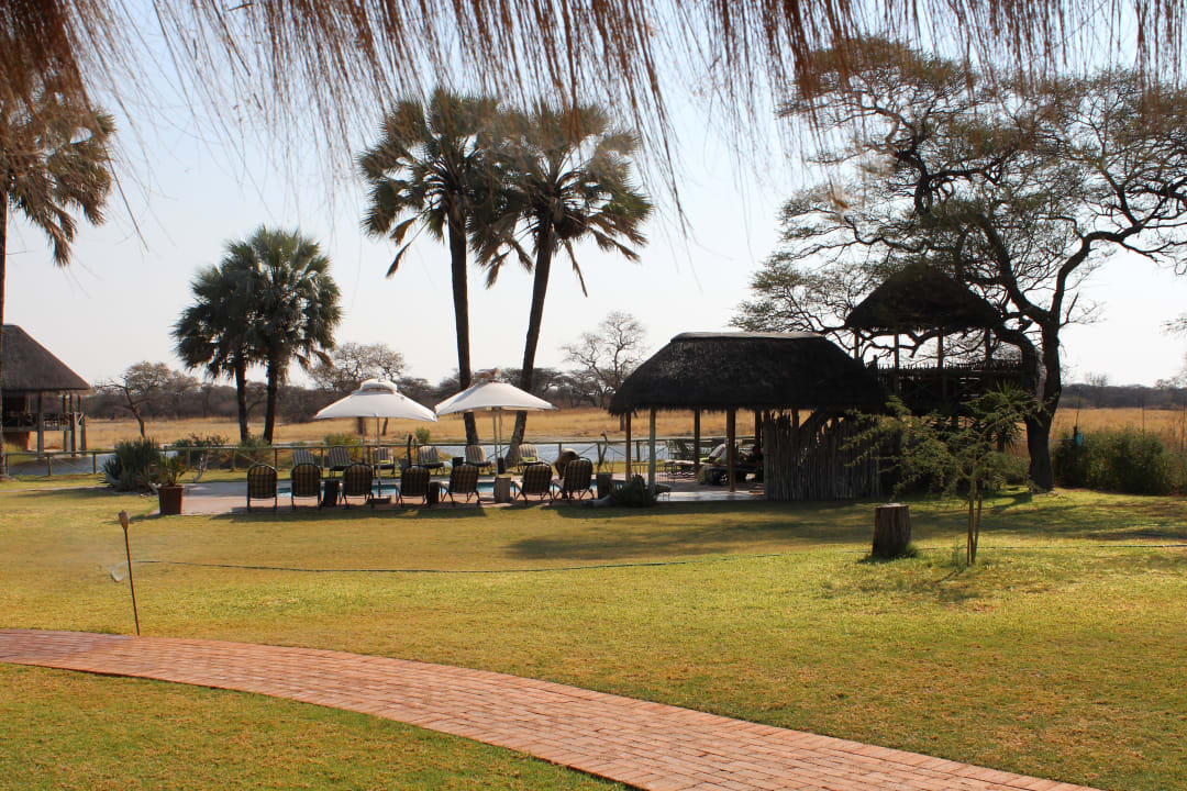 Pool Onguma Game Reserve