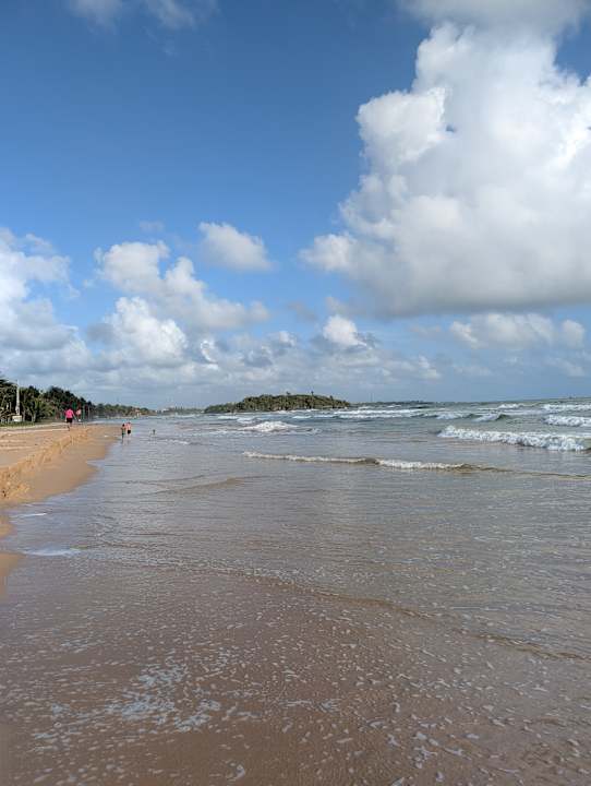 Strand The Palms