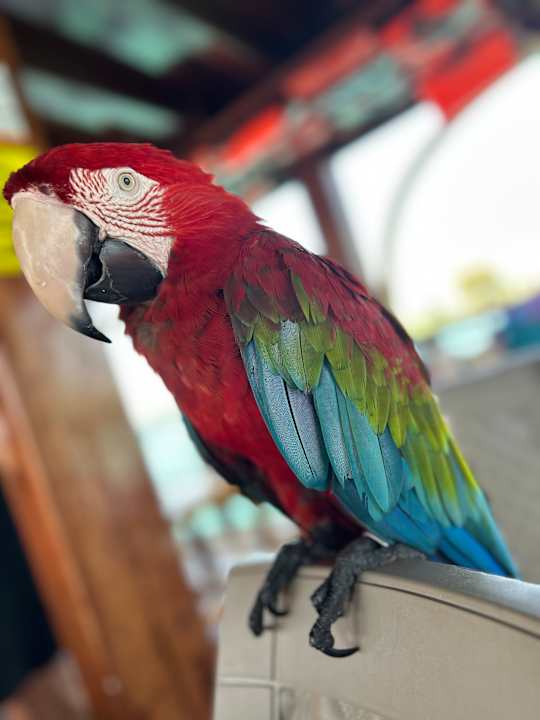 Sonstiges Dream World Aqua Hotel