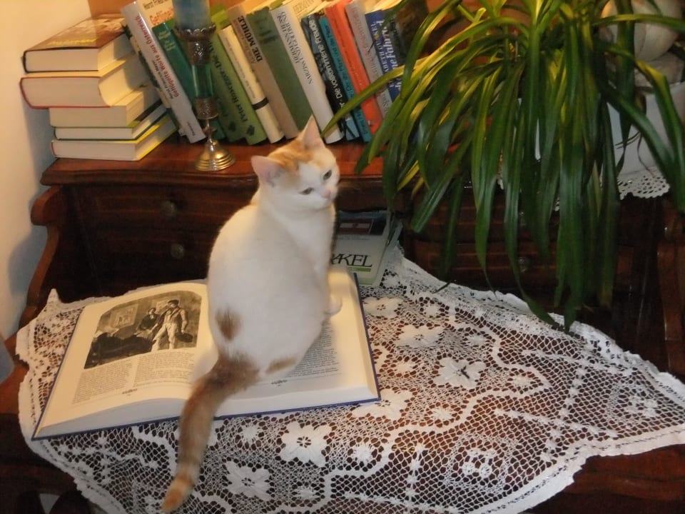 Biedermeierschreibtisch mit MizziTant  Pension Oberreiter Fusch