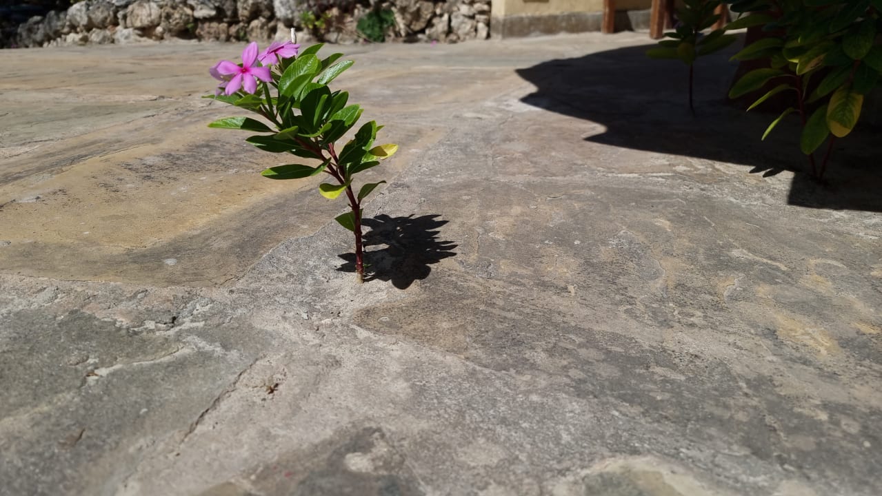 Sonstiges Bahari Beach Hotel