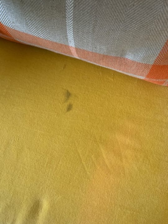 Zimmer Seehotel Hubertushof