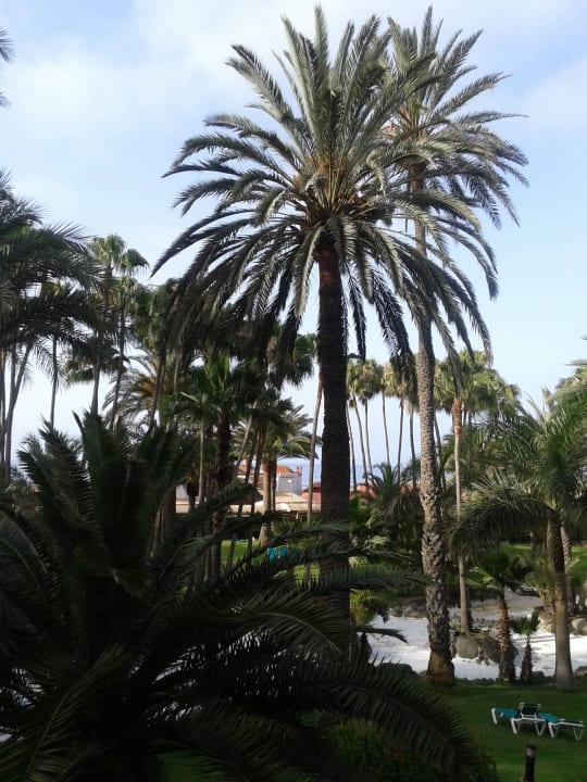 Blick aus meinen Balkon  Hotel Riu Palace Oasis