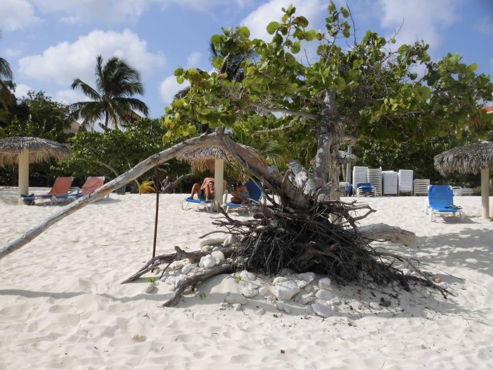 Strand Sol Rio De Luna y Mares
