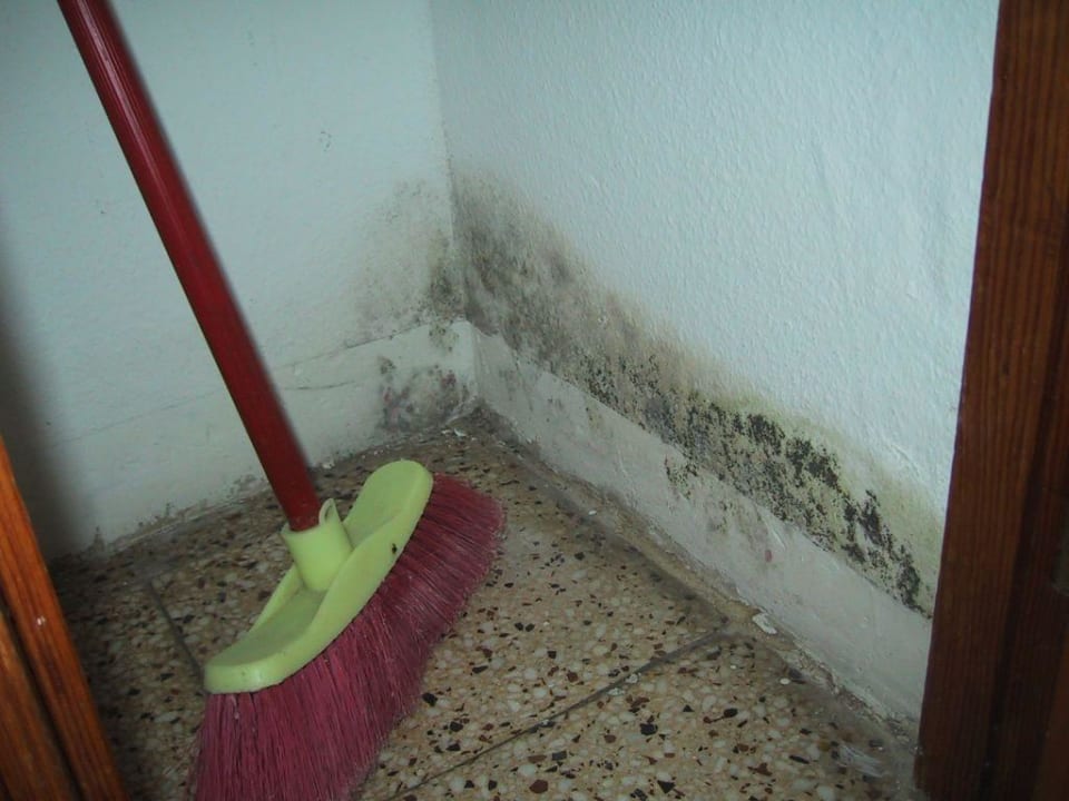 Schimmel alltoura Club Hotel Akeah Broncemar