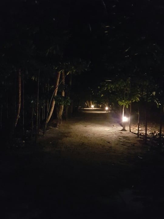 Gartenanlage Filitheyo Island Resort