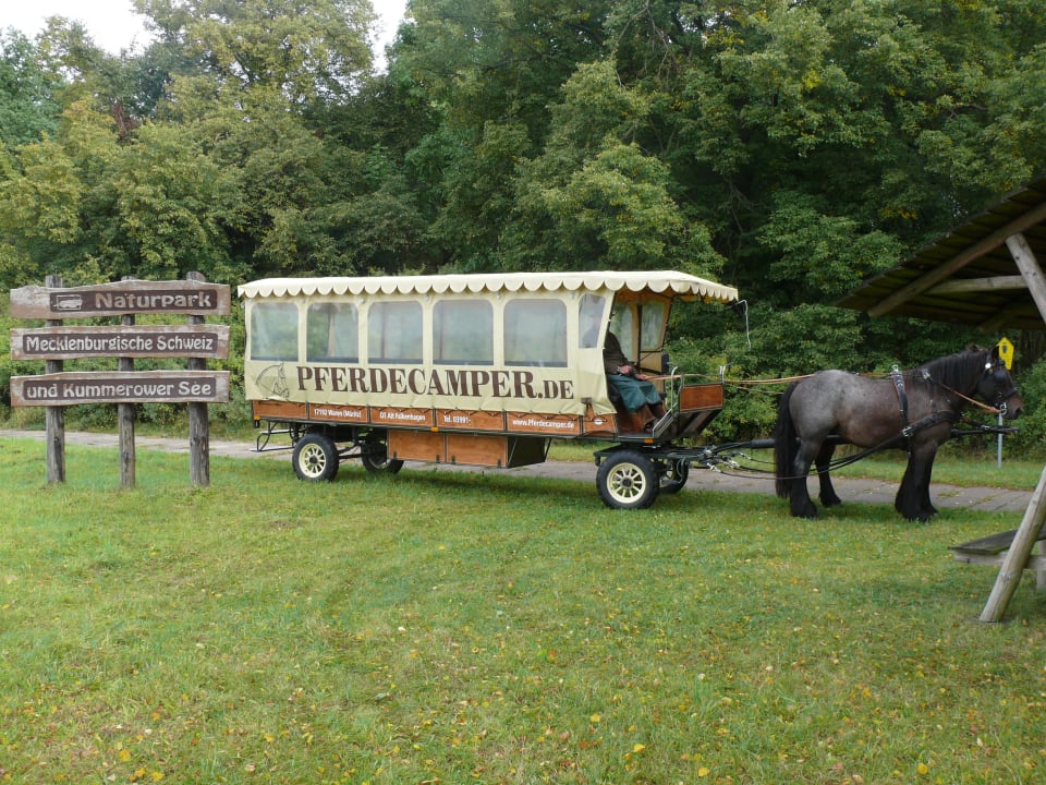 Kremserfahrt in der Mecklenburger Schweiz Pferdecamper mit Naturherberge
