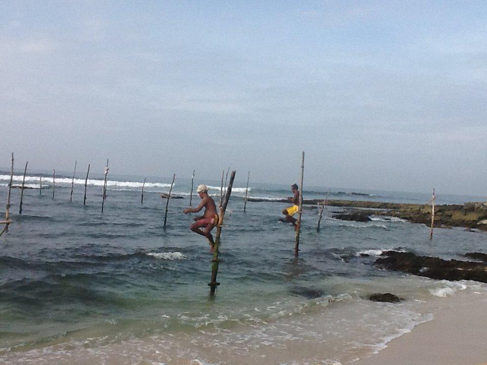 Stelzenfischer Hotel Bentota Village