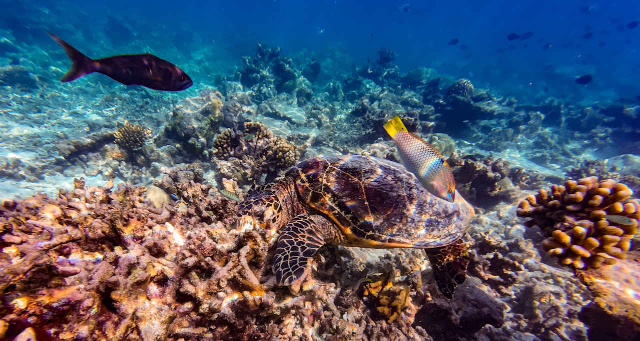 Strand Diamonds Thudufushi