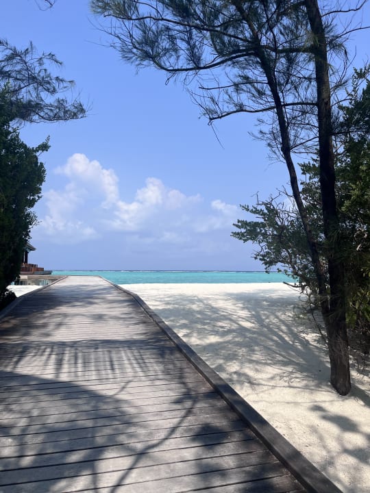 Außenansicht Summer Island Maldives