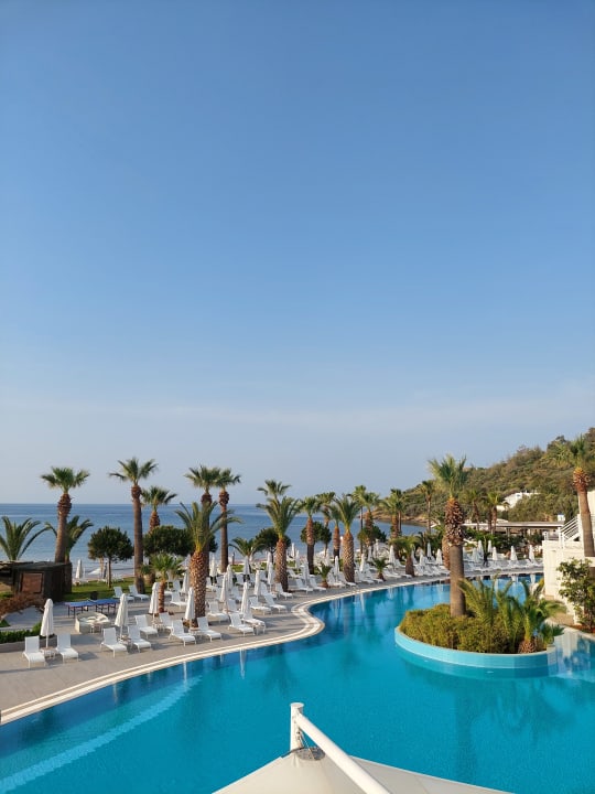 Ausblick Paloma Pasha