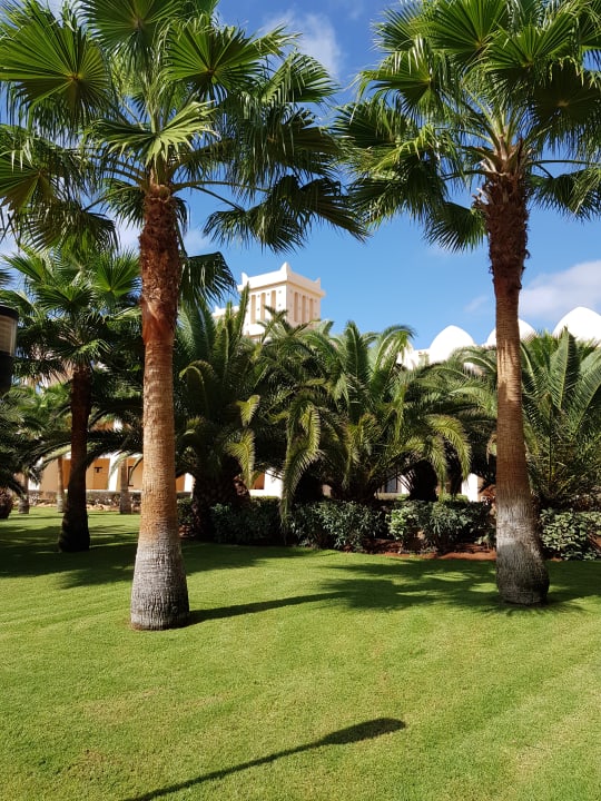 Ausblick Hotel Riu Touareg