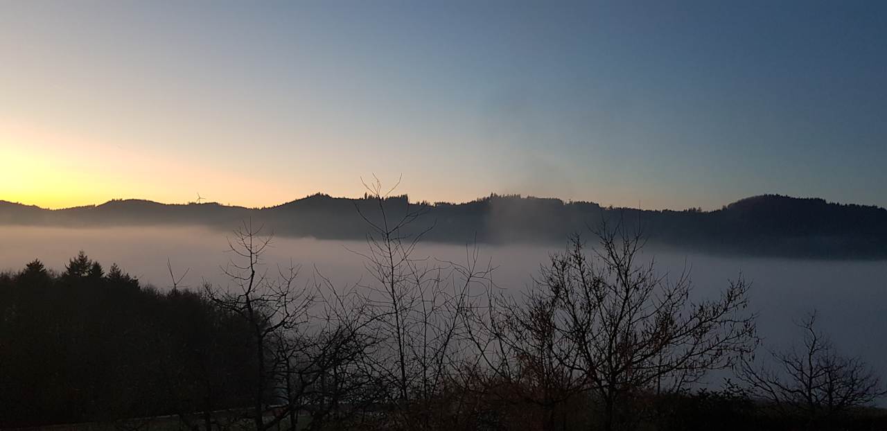 Ausblick Elztalhotel