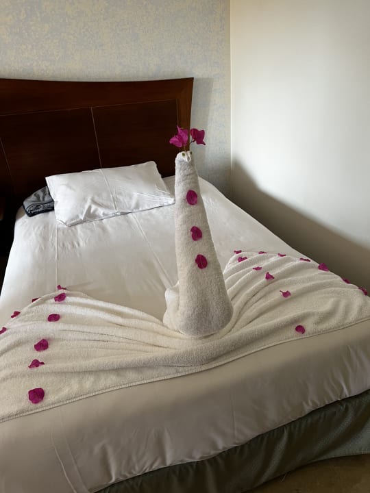 Zimmer Stella Garden Resort & Spa, Makadi Bay