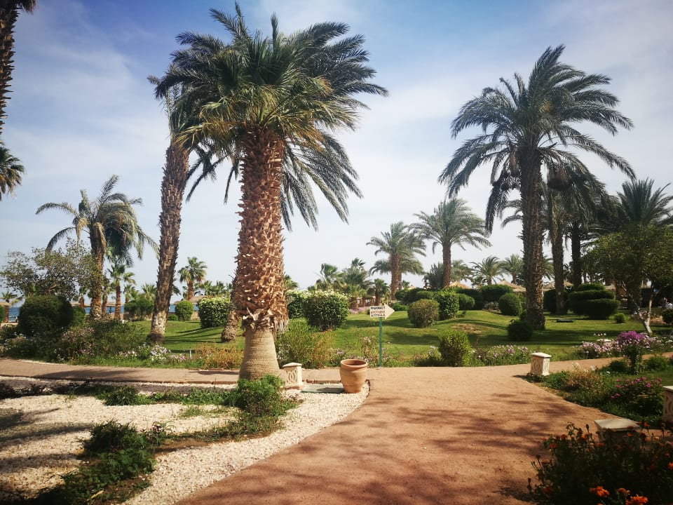 Gartenanlage Lotus Bay Beach Resort