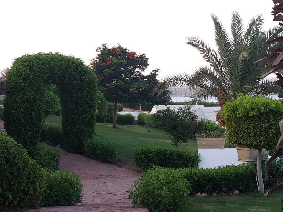 Gartenanlage Amphoras Blu