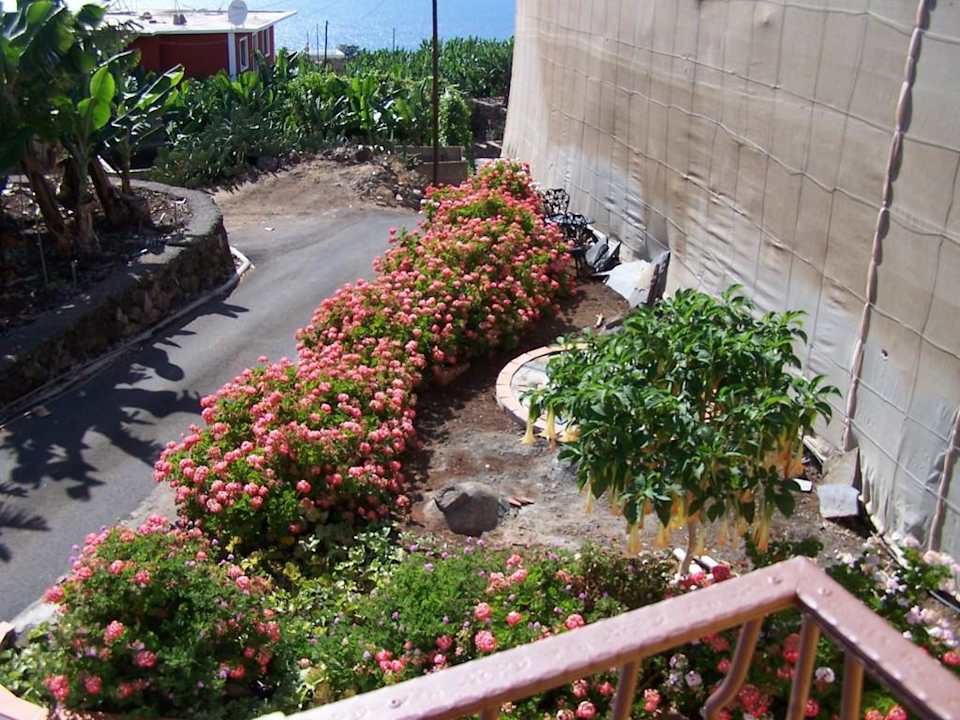 Blick vom Balkon Richtung Atlantik Casa Janero
