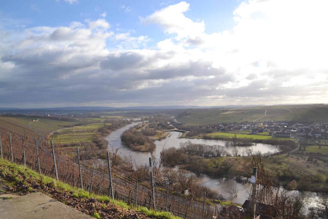 Blick auf die Mainschleife Vogelsburg