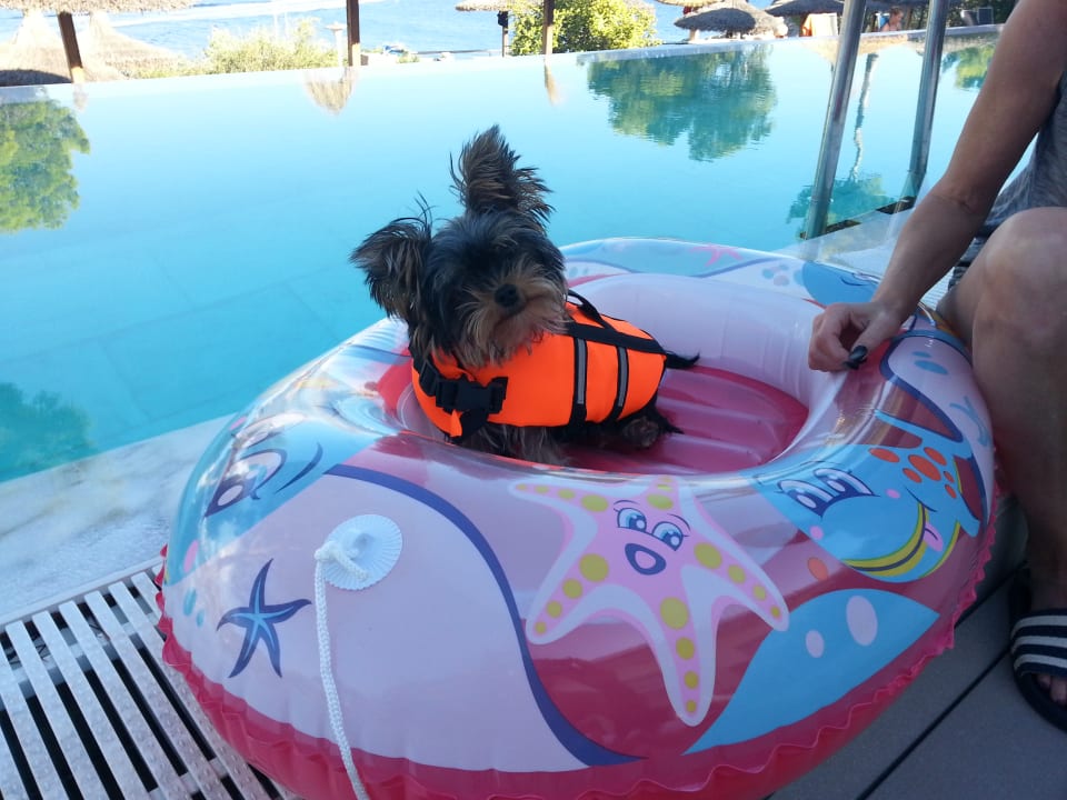 Ausblick Hotel Coronado Thalasso & Spa