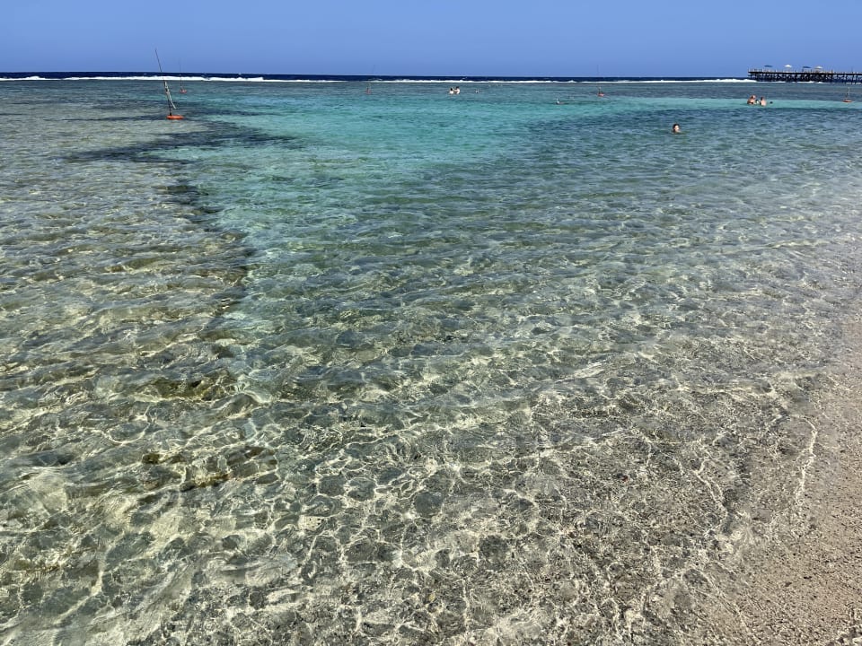Strand Pickalbatros Sea World Resort - Marsa Alam