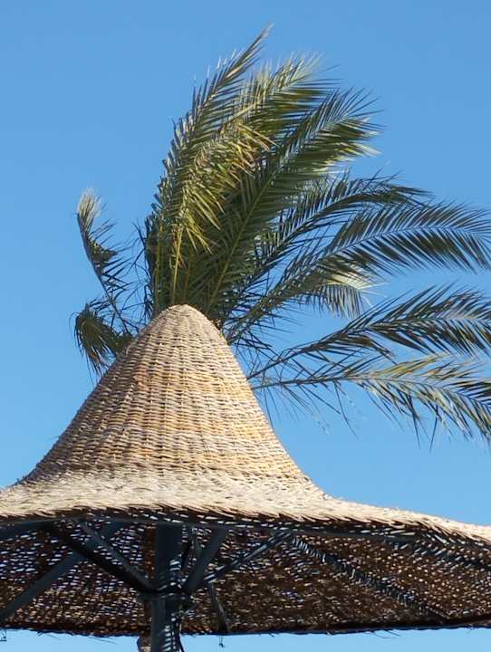 Strand Marlin Inn Azur Resort