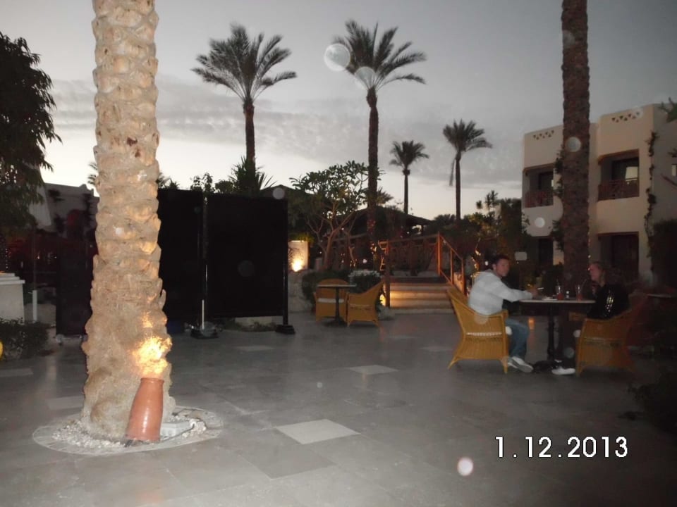 Blick von Ghazala Cafe' Ghazala Gardens