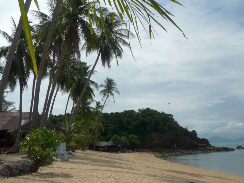 Palmenstrand Pinnacle Samui Resort