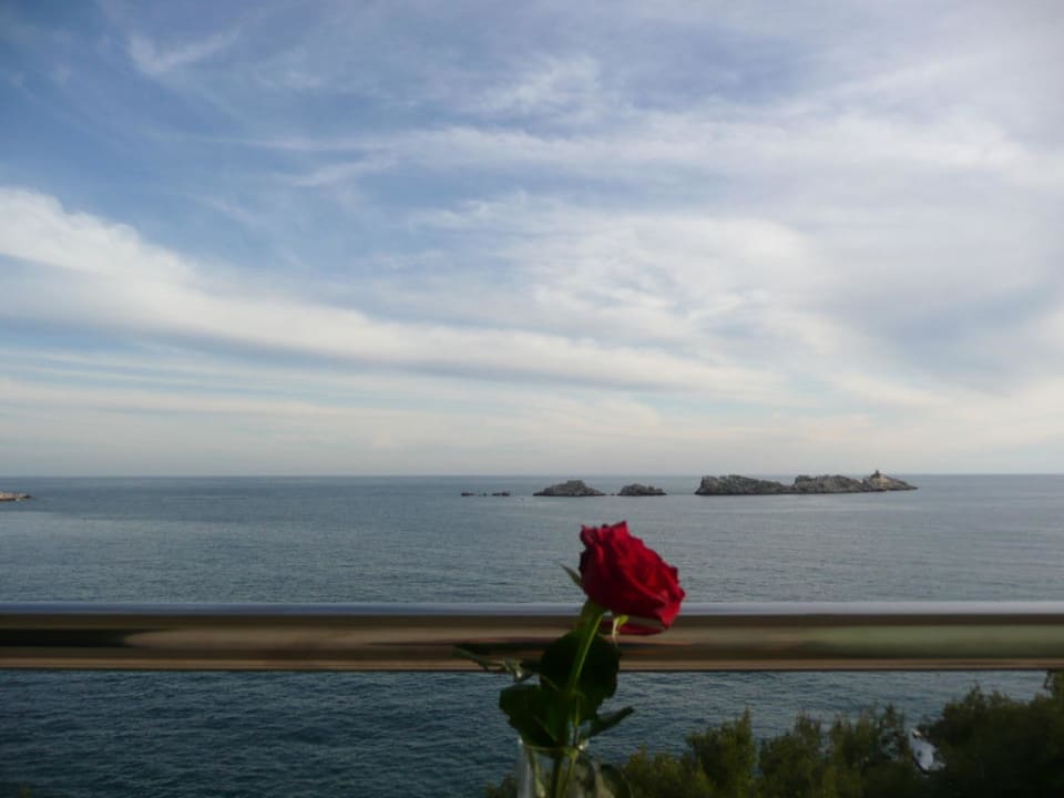 Widok z pokoju Royal Hotels & Resort - Hotel Royal Ariston