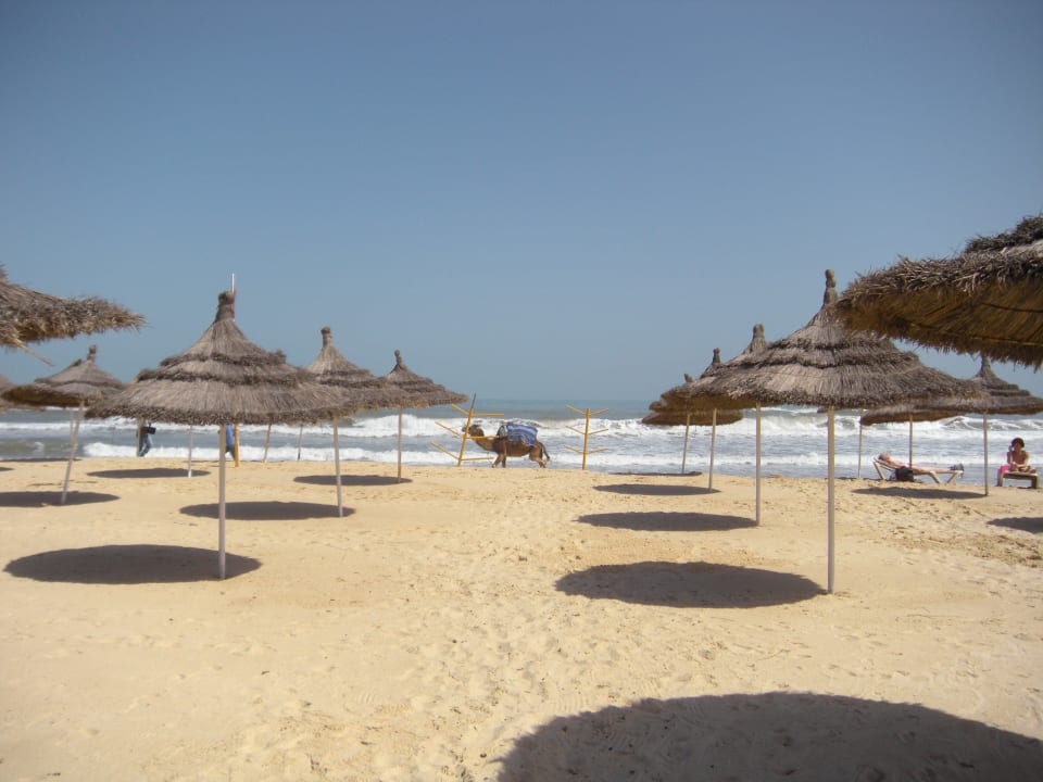 Sauber und direkt an der Hotelanlage Nozha Beach Resort & Spa