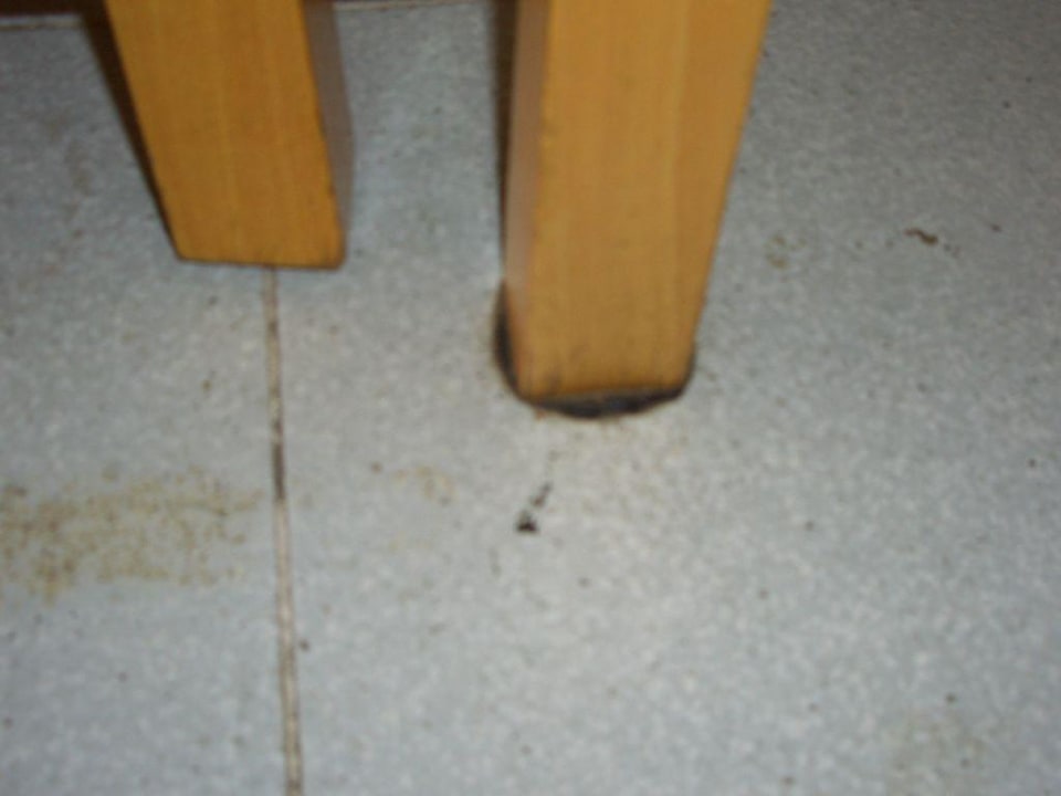 Tisch Hotel Bungalows Duna Flor