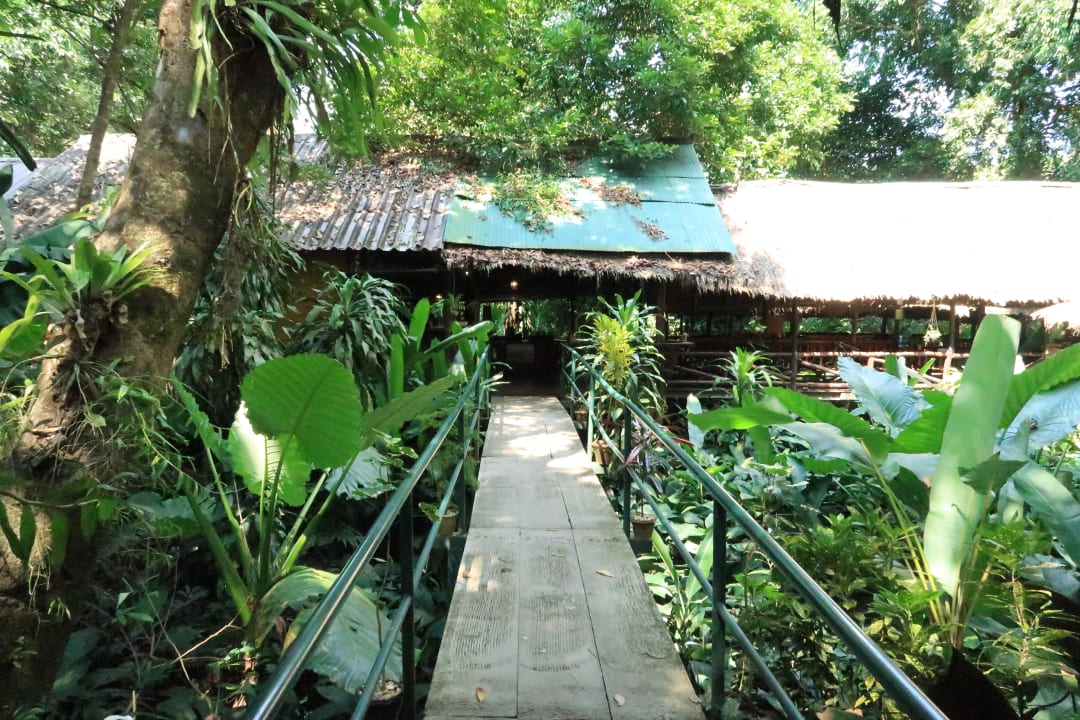 Lobby Khao Sok Jungle Resort