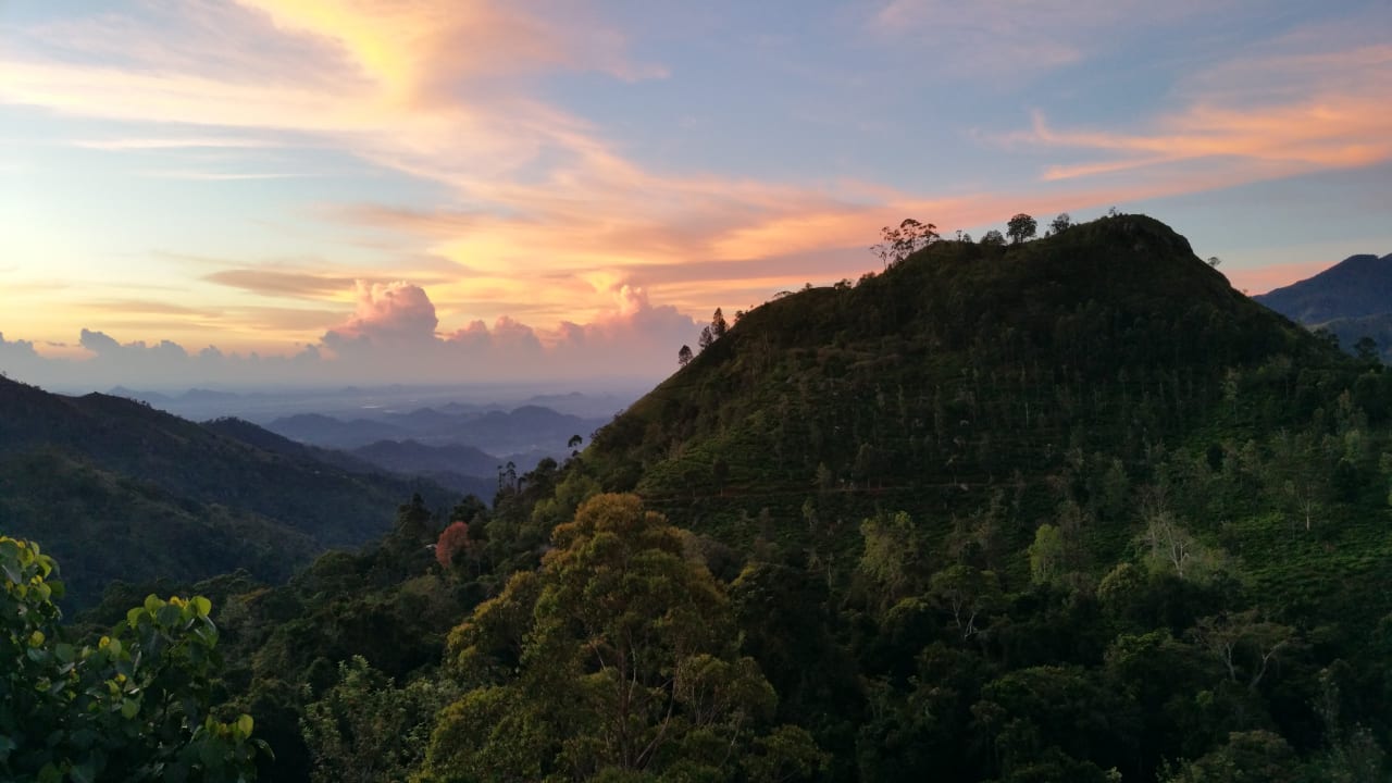 Ausblick 98 Acres Resort